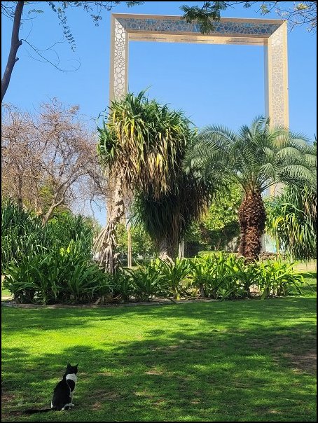 Dubai23262.jpg