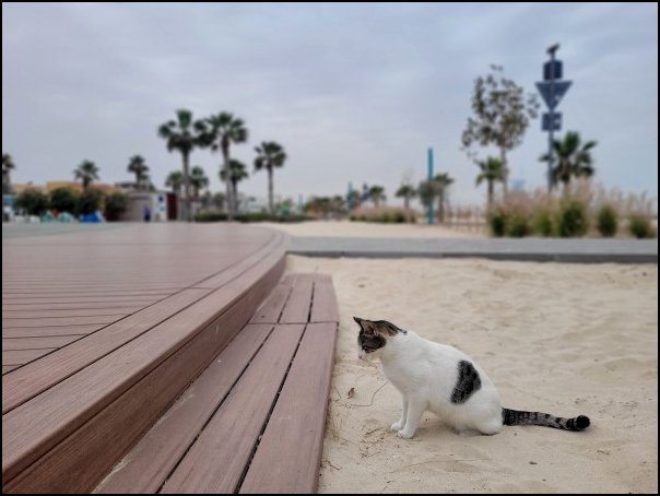 Dubai23293.jpg