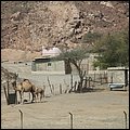 Emirate167.jpg