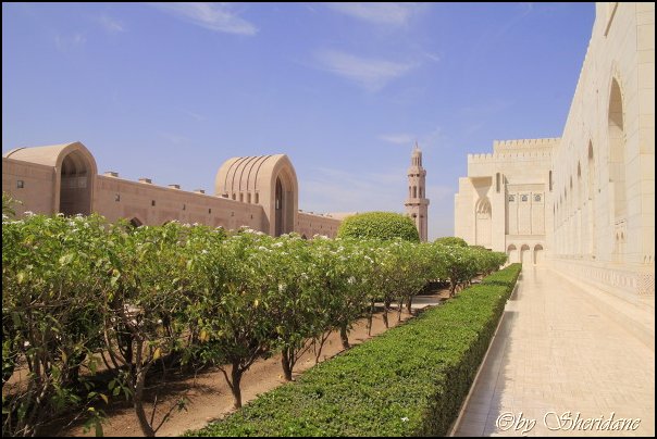 Emirate272.jpg