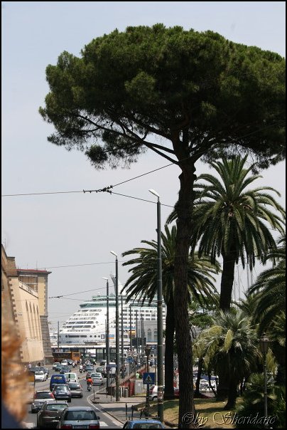 Neapel038.jpg