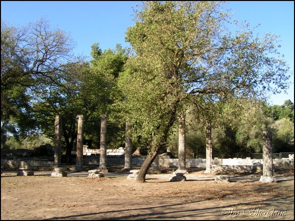 Olympia003.jpg