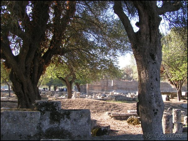 Olympia004.jpg