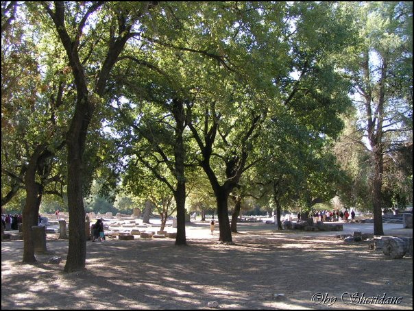 Olympia008.jpg