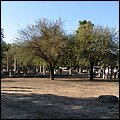 Olympia001.jpg