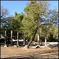 Olympia003.jpg