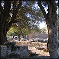 Olympia004.jpg
