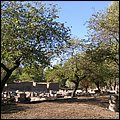 Olympia005.jpg