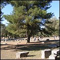 Olympia007.jpg