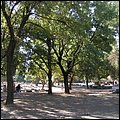 Olympia008.jpg