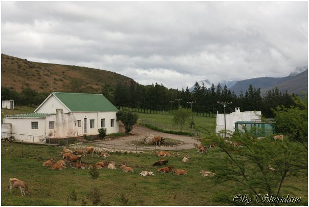 Suedafrika141.jpg