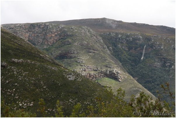 Suedafrika142.jpg