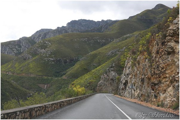 Suedafrika143.jpg