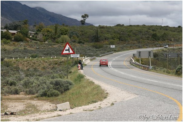 Suedafrika146.jpg