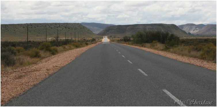 Suedafrika148.jpg