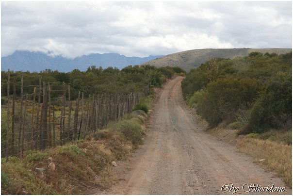 Suedafrika157.jpg