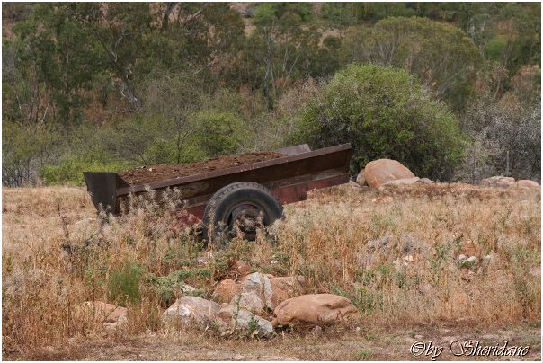 Suedafrika158.jpg