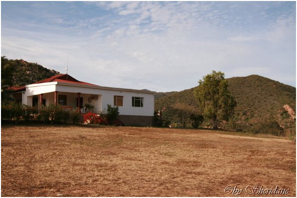 Suedafrika168.jpg