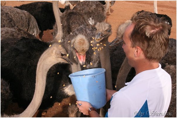 Suedafrika179.jpg