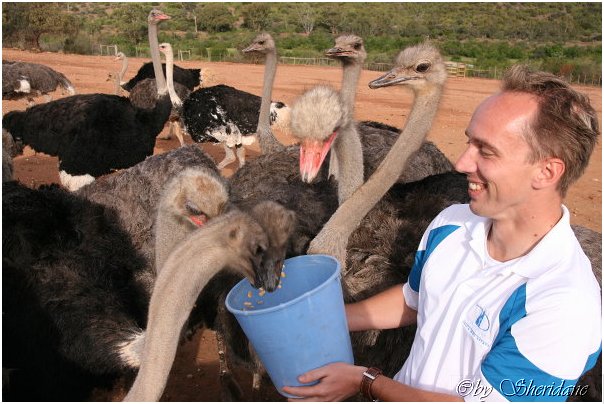 Suedafrika180.jpg