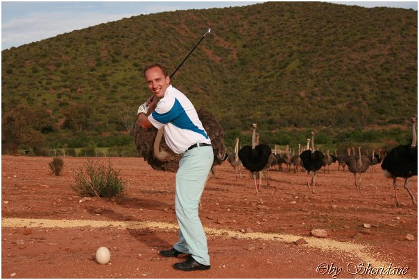 Suedafrika186.jpg