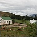 Suedafrika141.jpg