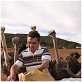 Suedafrika178.jpg