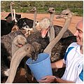 Suedafrika180.jpg