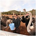 Suedafrika182.jpg
