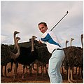 Suedafrika184.jpg