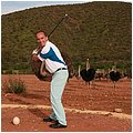 Suedafrika186.jpg