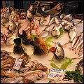 Palermo010.jpg