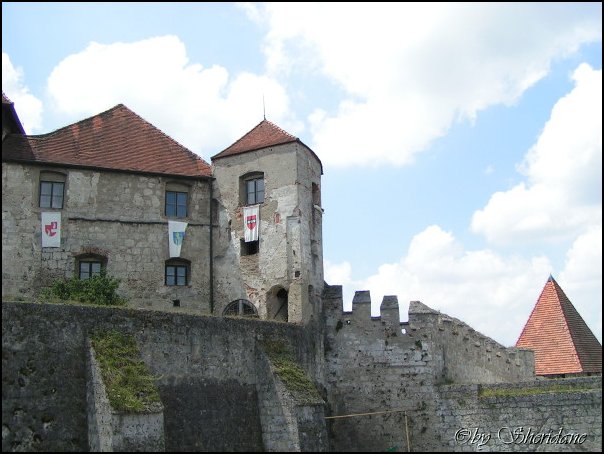 BurgfestBurghausen006.jpg