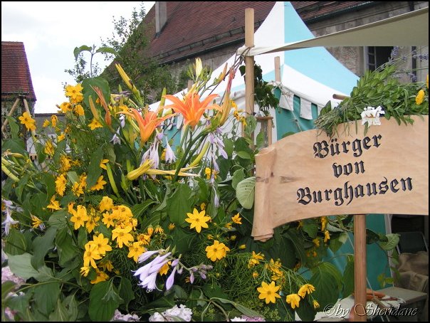 BurgfestBurghausen028.jpg