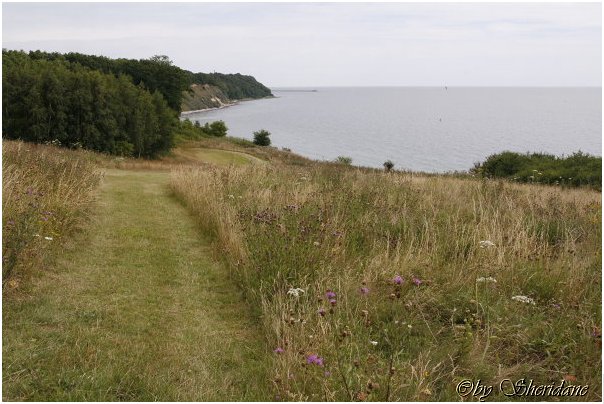 Ruegen013.jpg