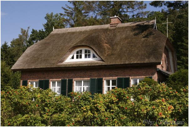 Ruegen030.jpg