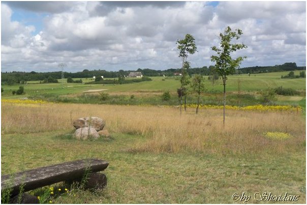 Ruegen053.jpg