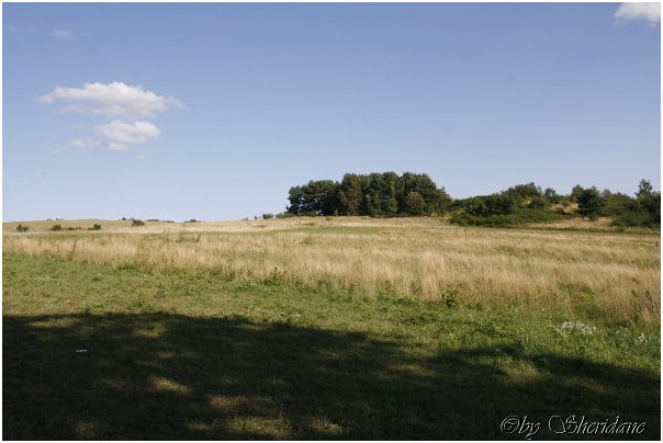 Ruegen061.jpg