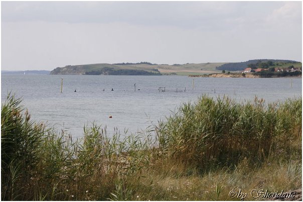 Ruegen075.jpg