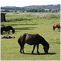Ruegen028.jpg