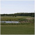 Ruegen037.jpg