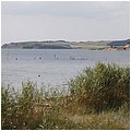 Ruegen075.jpg