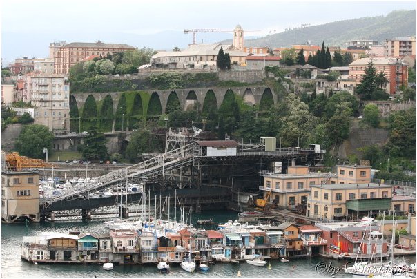 Savona004.jpg
