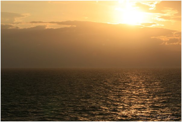 Savona010.jpg