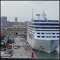 Bella020.jpg