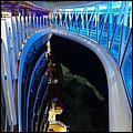 RoyalPrincess080.jpg