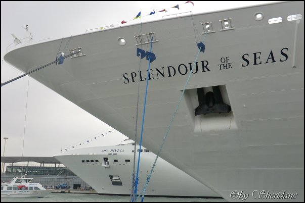 Splendour1202.jpg