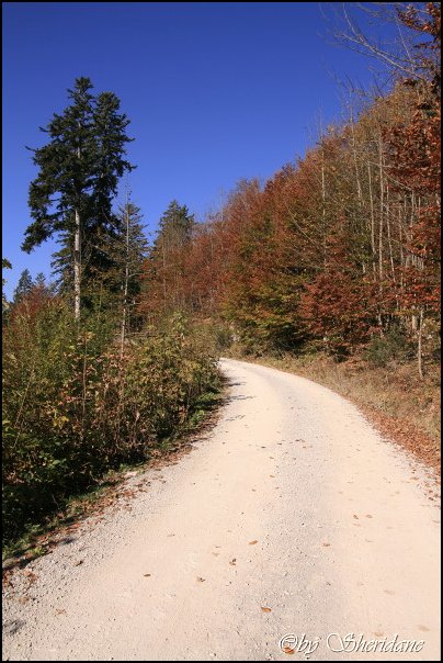 Sonntagshorn001.jpg