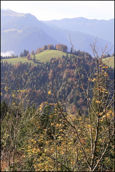 Sonntagshorn004.jpg