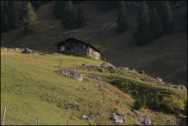 Sonntagshorn007.jpg